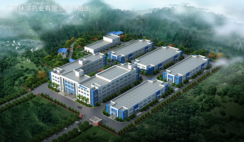 广西林洋药业有限公司鸟瞰